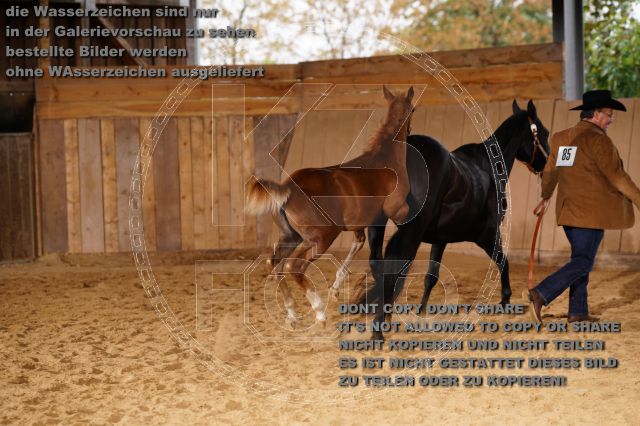 s_K3F05142.JPG